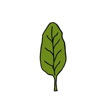 Spinach doodle icon, vector illustration Stock Illustration