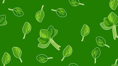 Spinach flat illustration background  스톡 일러스트