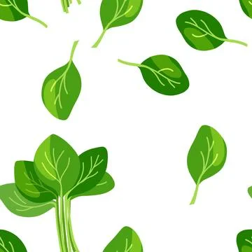 Spinach flat illustration background  Иллюстрация