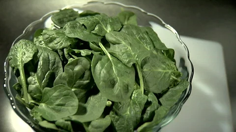 Spinach 스톡 동영상 376640