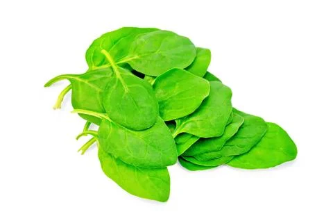 Spinach fresh Stock Photos