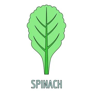 Spinach green leaf vegetable simple drawing illustration イラスト素材