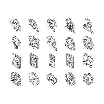 Spinach Healthy Eatery Ingredient isometric icons set vector Stock Illustration