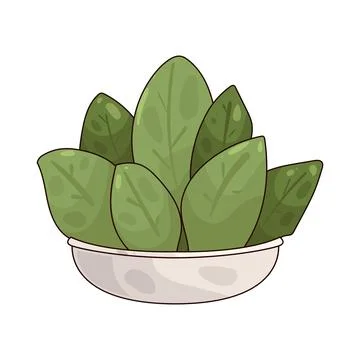 Spinach illustration Stock Illustration