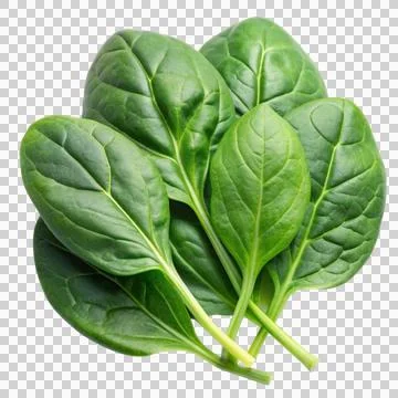 Spinach-isolated-on-white-background (1) Stock Photos