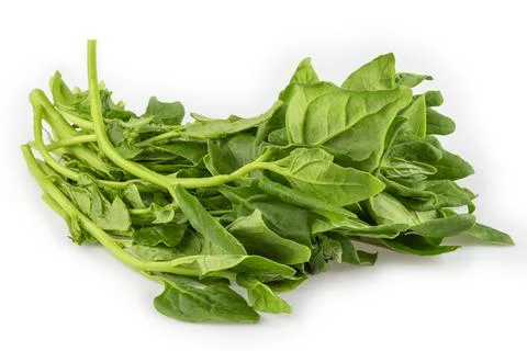 Spinach isolated on white background. Stock Photos