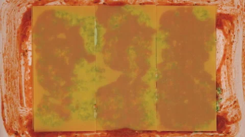 Spinach lasagna recipe. Assembling the lasagna Stock Footage 235378553