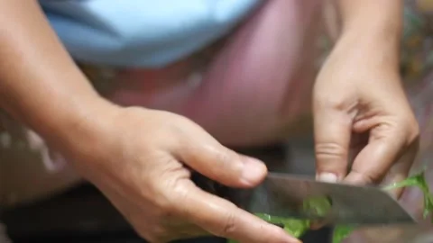 Spinach leaf cutting Stock Footage 303026882