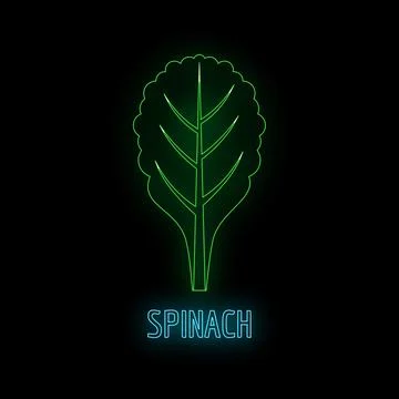 Spinach leaf glowing neon outline on black background Stock Illustration