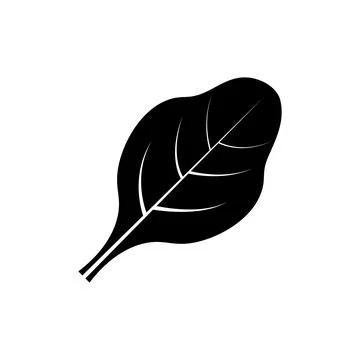 Spinach leaf icon line solid black. Fiber line flat illustration Stock Illustration
