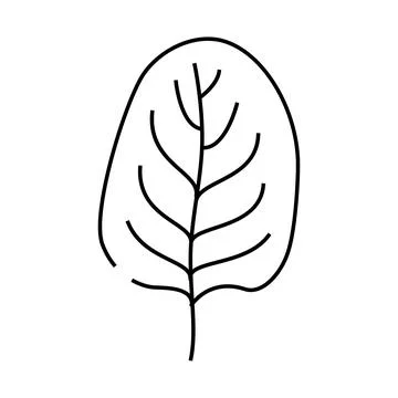 Spinach leaf line icon vector illustration Stock Illustration
