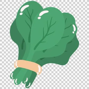 Spinach leaf vegetable green bundle illustration food plant organic fresh s.. Stock Illustration