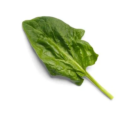 Spinach leaf on a white background close-up, top view. Stock Photos