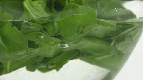 Spinach leaves are boiled Stock Footage 82844963