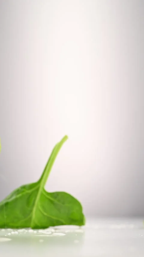 Spinach leaves cascade in slow motion. Perfect organic food visuals. Stock Footage 310394805