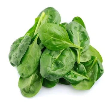 Spinach leaves  close up Stock Photos
