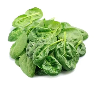 Spinach leaves close up. Stock Photos