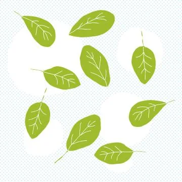 Spinach leaves doodle Stock Illustration