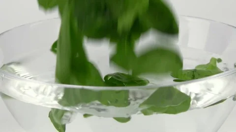 Spinach leaves fall into the water 動画素材 82845016