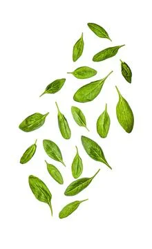 Spinach leaves falling Foto stock