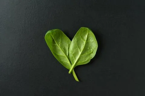 Spinach leaves in heart shape Stock Photos