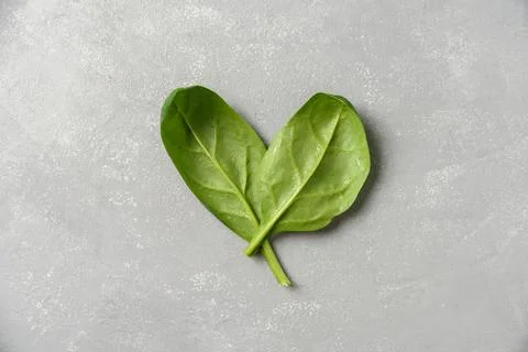 Spinach leaves in heart shape Stock Photos
