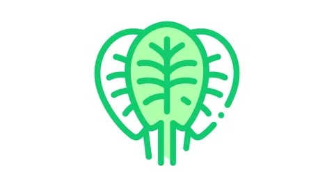Spinach leaves Icon Animation Stock Footage 145288342