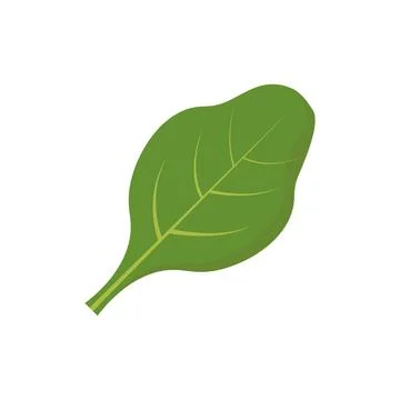 Spinach leaves icon line colored. Fiber line flat illustration Stock Illustration