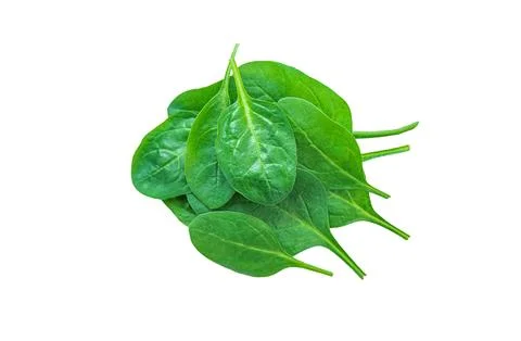 Spinach leaves isolate on white background. Selective focus. Stock Photos