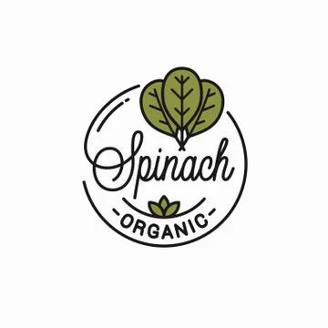 Spinach leaves logo. Round linear of spinach Stock Illustration