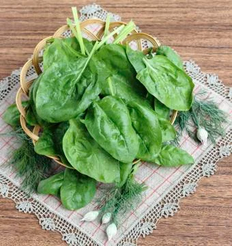 Spinach leaves Stock Photos
