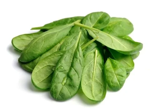 Spinach leaves Foto stock