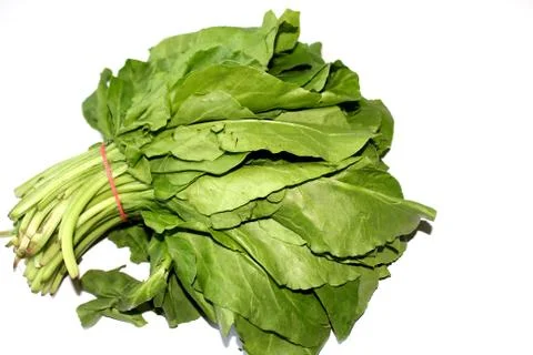 Spinach Leaves Stock Photos