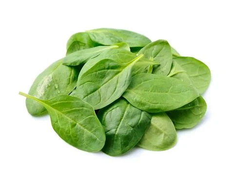 Spinach leaves Stock Photos