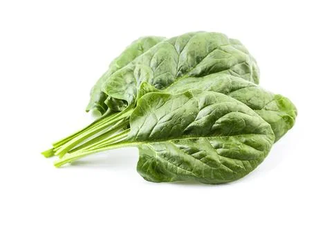 Spinach leaves Foto stock