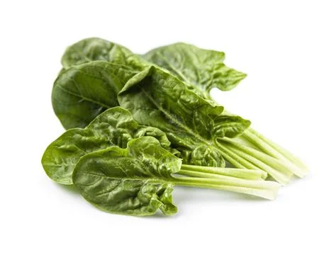 Spinach leaves Foto stock