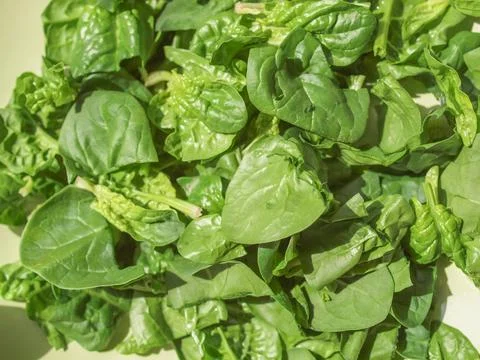 Spinach leaves Foto stock