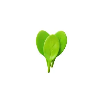 Spinach leaves vector illustration icon in 3D style 스톡 일러스트