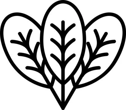 Spinach Line Icon Design Stock Illustration