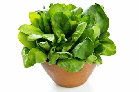 Spinach Stock Photos