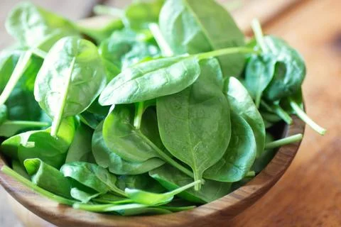 Spinach Stock Photos