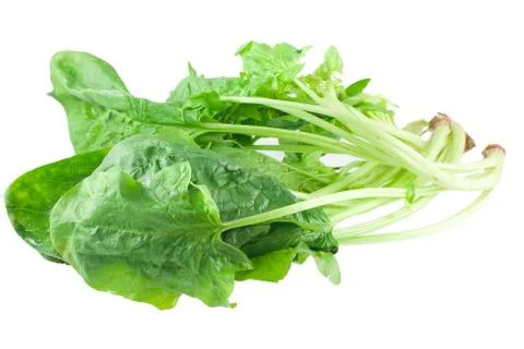 Spinach Stock Photos