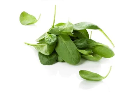 Spinach Stock Photos