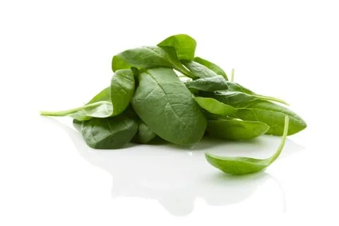 Spinach Stock Photos