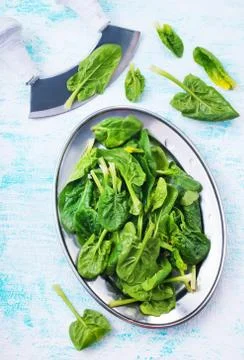 Spinach Stock Photos