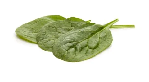 Spinach Stock Photos