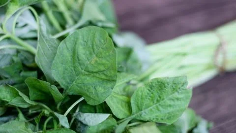 Spinach Stock Photos