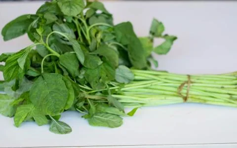 Spinach Stock Photos