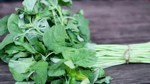 Spinach Stock Photos
