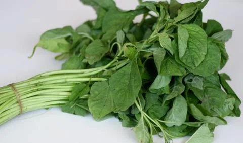 Spinach Stock Photos